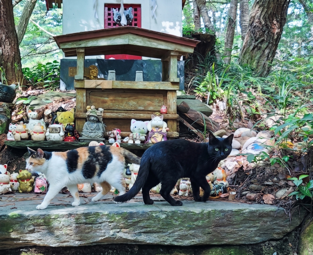 猫神社と田代島の猫たち